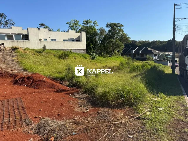 Terreno, foto 2