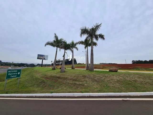 Vista externa de uma propriedade com palmeiras e gramado sob um céu nublado.