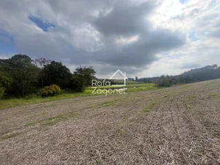 Terreno, foto 5