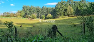 Área rural com 3 dormitórios, foto 7