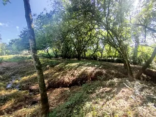 Área rural, foto 14