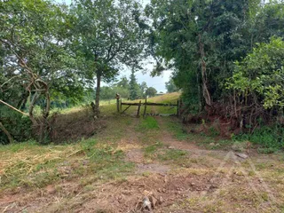 Área rural com 3 dormitórios, foto 11