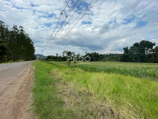 Área rural, foto 3