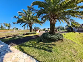 Vista externa de um jardim com palmeiras e caminho de pedras.