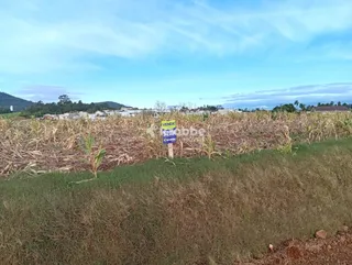 Terreno, foto 2