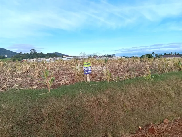 Terreno, foto 2