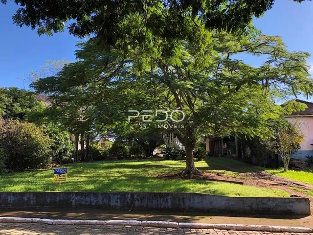 Vista externa da propriedade com uma grande árvore no jardim e muro na frente.
