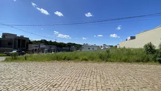 Vista externa de uma rua com vegetação no entorno de uma propriedade em Lajeado.