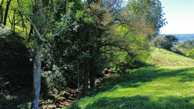 Imóvel, foto 5