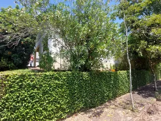 Casa com 3 dormitórios, foto 14