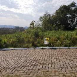 Piso pavimentado com blocos de concreto em uma área externa.