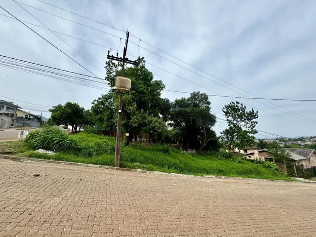 Terreno, foto 2