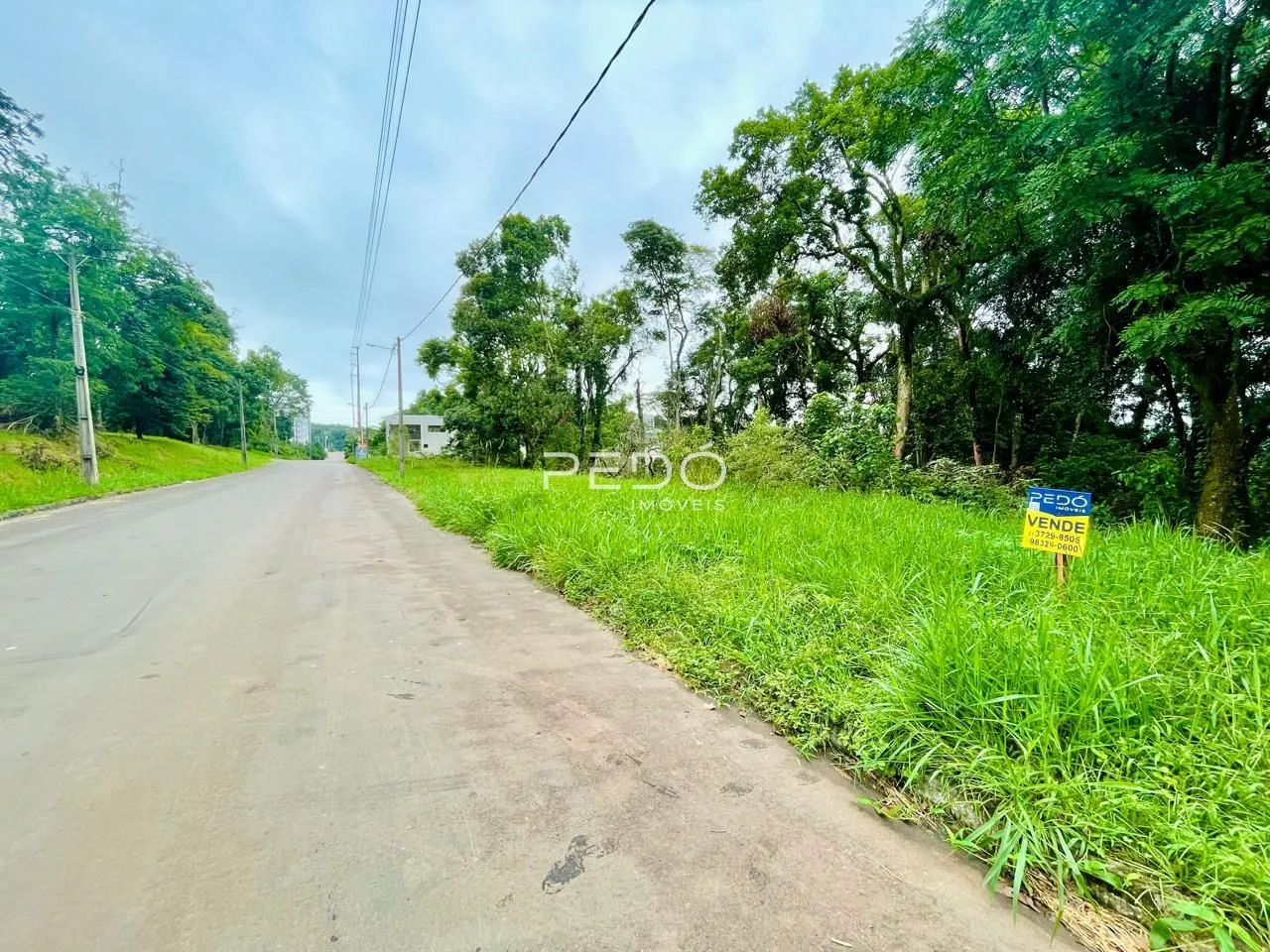 Terreno, foto 1