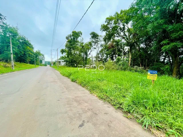 Vista da estrada e vegetação ao lado de uma propriedade em Lajeado.