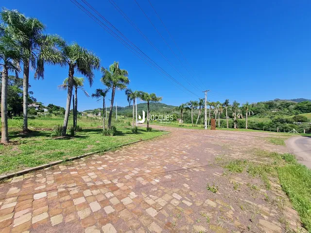 Vista da propriedade com paisagismo e árvores de palmeira.