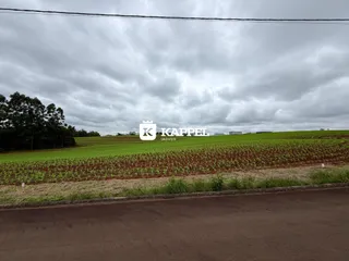 Terreno, foto 1