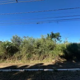 Terreno, foto 3