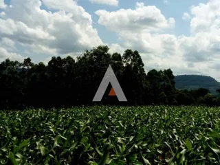 Área rural, foto 4