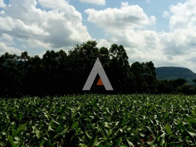 Área rural, foto 4