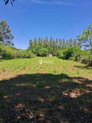 Campo aberto com vegetação e árvores sob um céu azul.