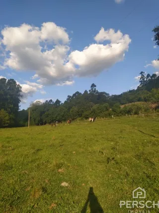 Área rural, foto 6