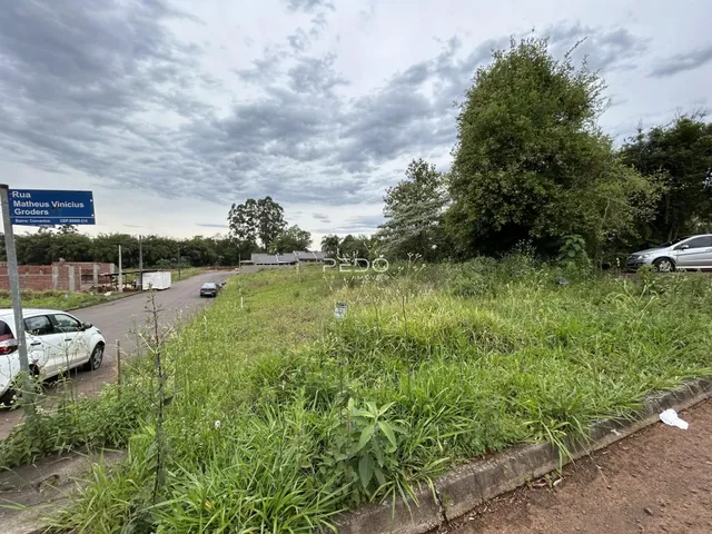 Vista externa de uma propriedade com vegetação densa ao longo de uma estrada.
