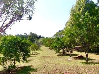 Área rural com 3 dormitórios, foto 45