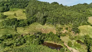 Vista aérea de uma paisagem com vegetação densa e um corpo d'água no meio.