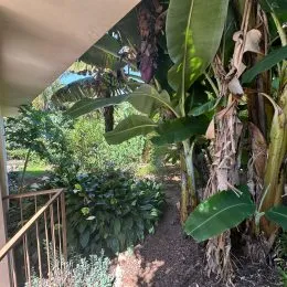 Terreno com 3 dormitórios, foto 28
