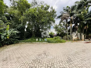 Área externa pavimentada com vegetação densa ao fundo.
