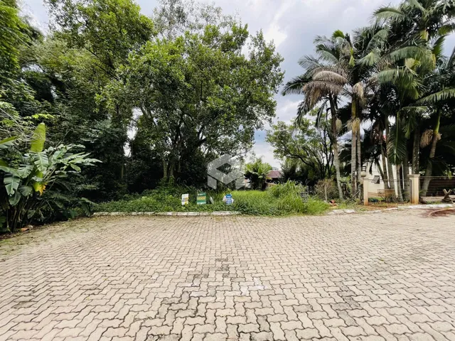 Área externa pavimentada com vegetação densa ao fundo.