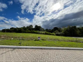 Terreno, foto 7