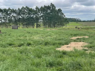 Área rural, foto 11