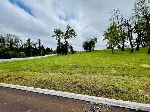 Campo gramado com árvores ao fundo em uma paisagem aberta.