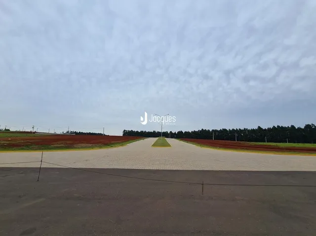 Vista de campo aberto com vegetação ao redor de uma estrada.