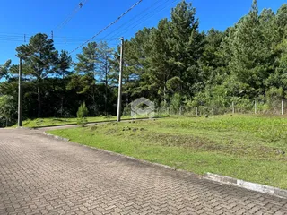 Terreno, foto 10