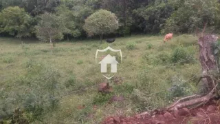 Área rural, foto 7