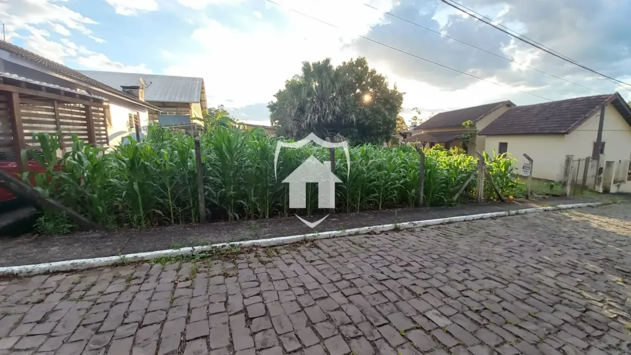 Terreno, foto 1