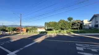Vista da rua com casas e vegetação em Lajeado, Brasil.