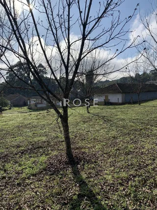 Terreno, foto 5