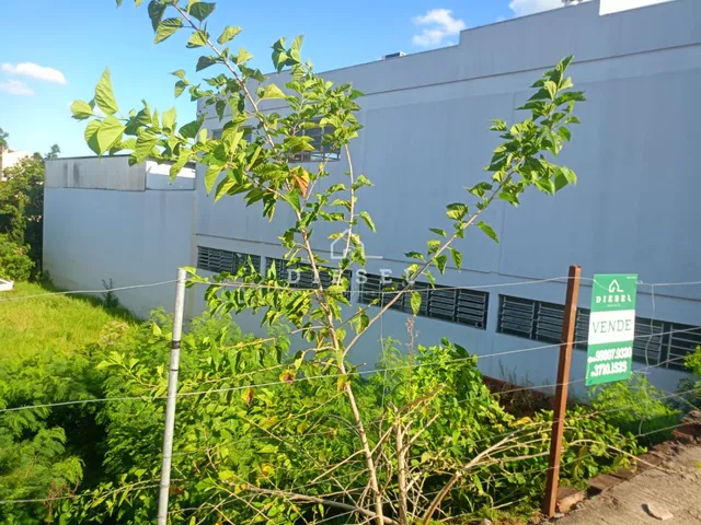 Terreno, foto 2