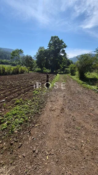 Uma estrada de terra atravessa um campo com vegetação ao fundo.