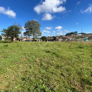 Vista de um campo gramado com árvores ao fundo.