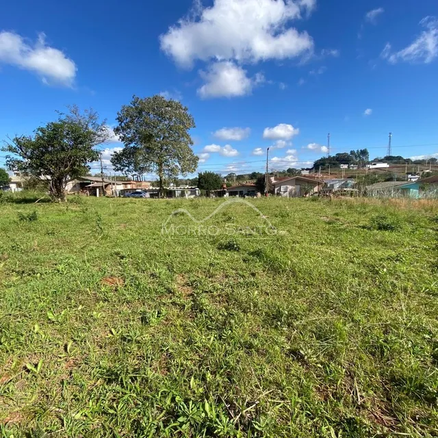 Vista de um campo gramado com árvores ao fundo.