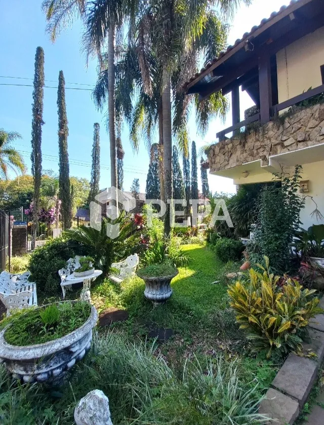 Imóvel com 3 dormitórios, foto 3
