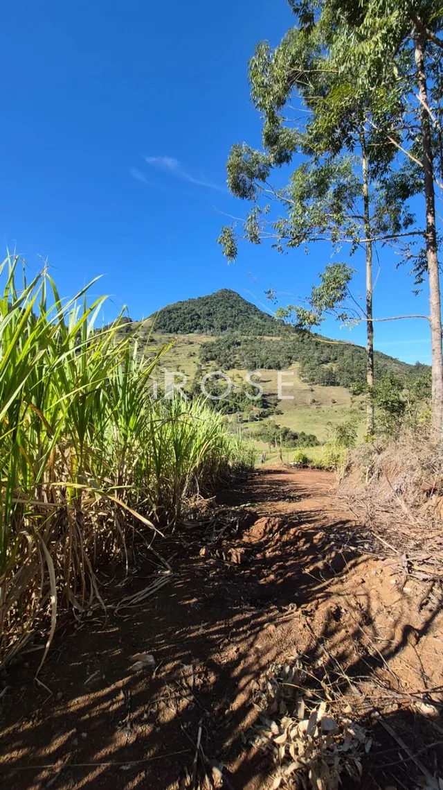 Área rural, foto 5