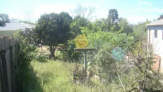 Terreno, foto 3