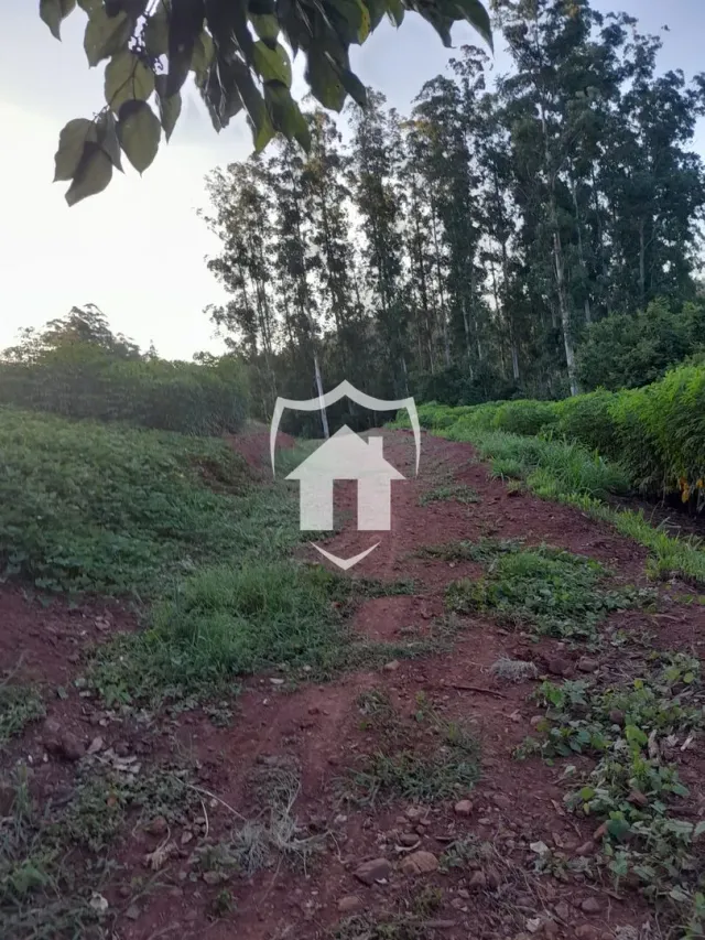 Área rural com 1 dormitório, foto 3