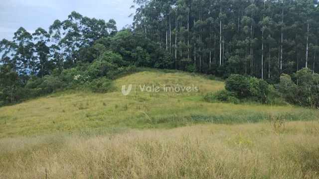 Área rural, foto 4