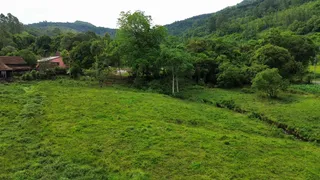 Paisagem verde com campo aberto e vegetação densa de fundo.